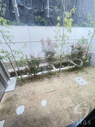 芦屋駅 徒歩6分 1-2階の物件内観写真